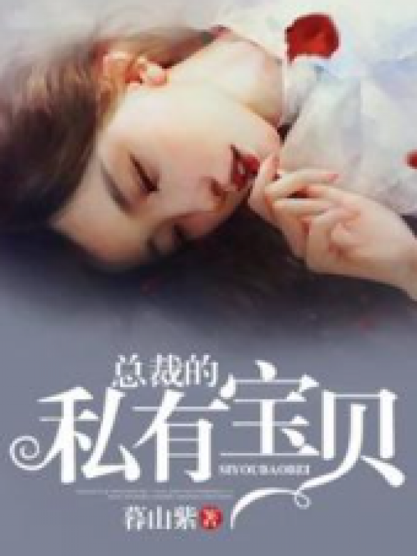 总裁的私有宝贝